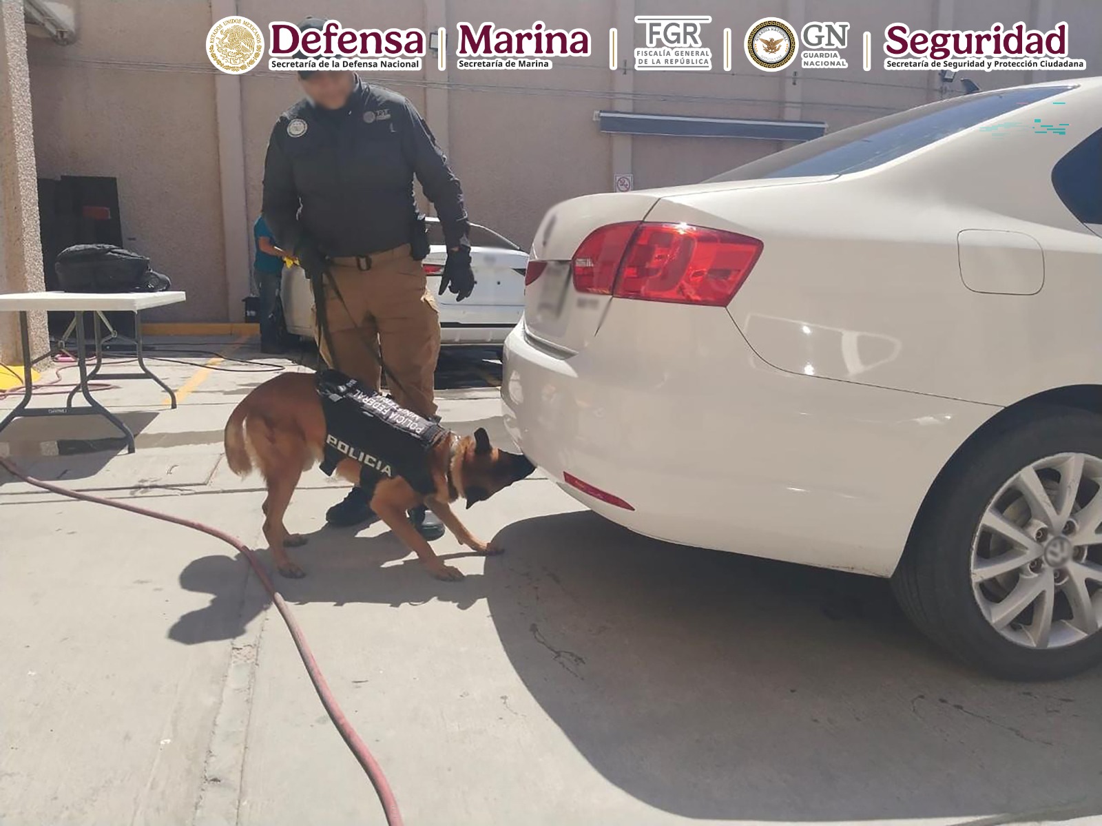 En Chihuahua, aseguran 20 kilos de metanfetamina y 25 mil dosis de fentanilo ocultos en un vehículo